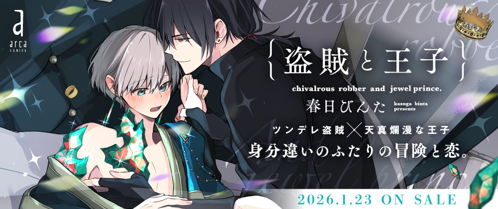 盗賊と王子